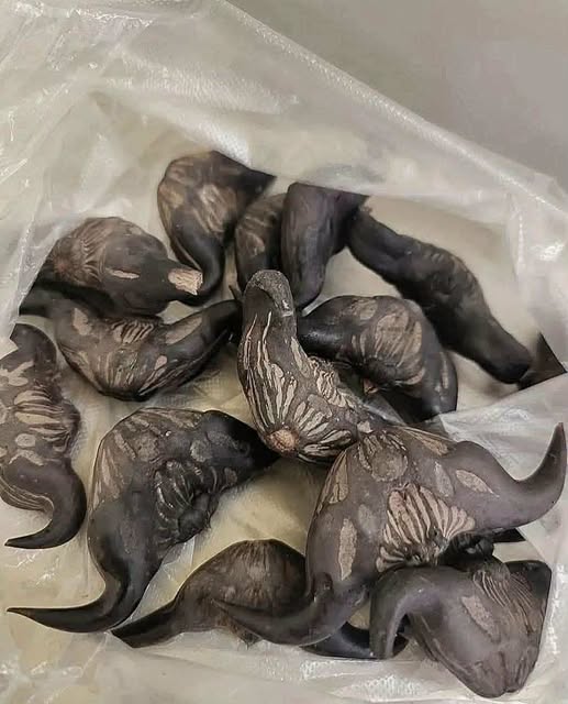 My neighbor gave me a bag of these.anyone know what they are? How do you eat them?