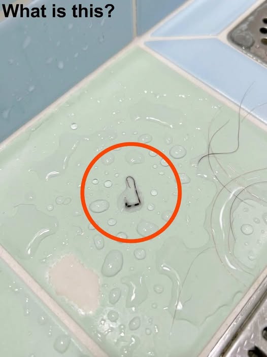 The Thing on My Shoulder: A Shower Encounter That Turned Fear Into Embarrassing Relief