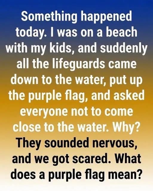 What a Purple Beach Flag Means and Why You Should Pay Attention