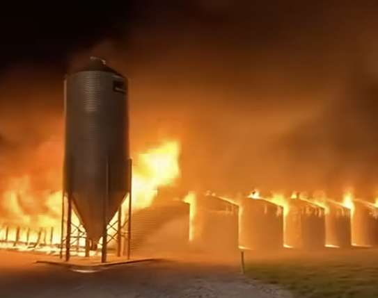 A few hours ago a big fire broke out in M… See more